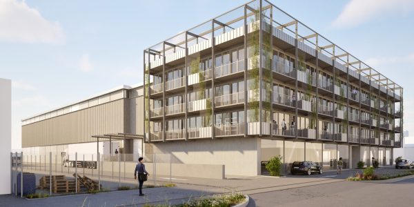 250519_Regensdorf-Visu-Aussen-Holz-Pflanzen-komprimiert_SLIK